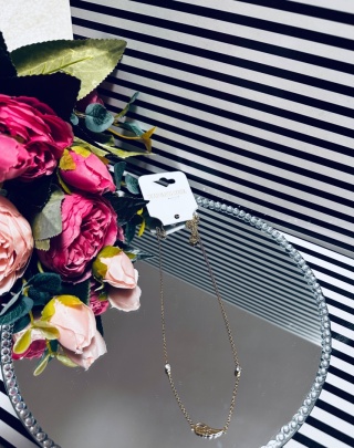 NASZYJNIK SKRZYDŁO+CYRKONIE